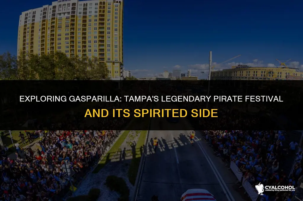 what is gasparilla in tampa alcohol