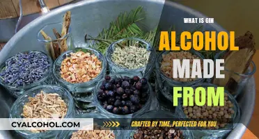 Exploring the Botanicals: What Ingredients Make Gin Unique?