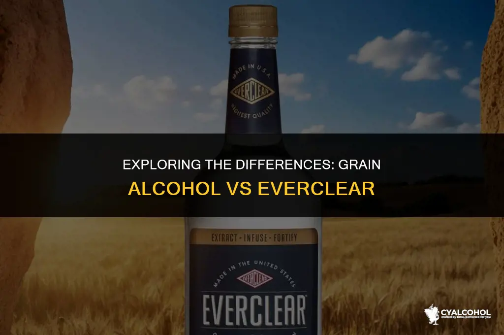 what is grain alcohol vs everclear
