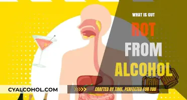 Understanding Gut Rot: The Impact of Alcohol on Digestive Health