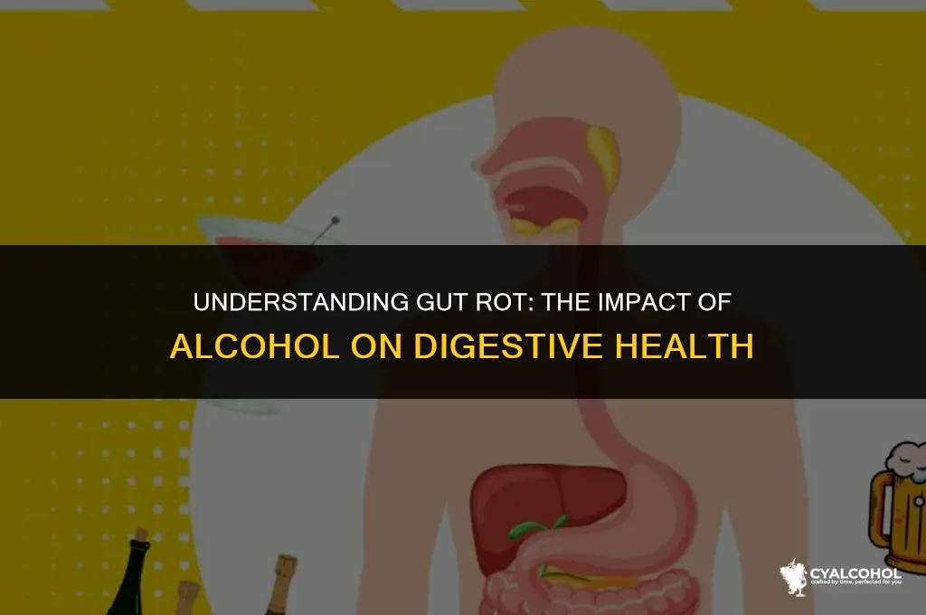 what is gut rot from alcohol