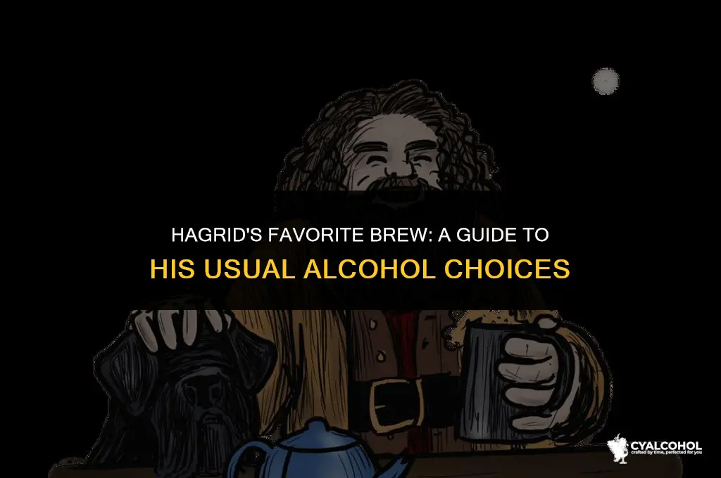 what is hagrid