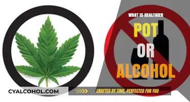 Exploring Sobriety: The Healthier Choice Between Cannabis and Alcohol