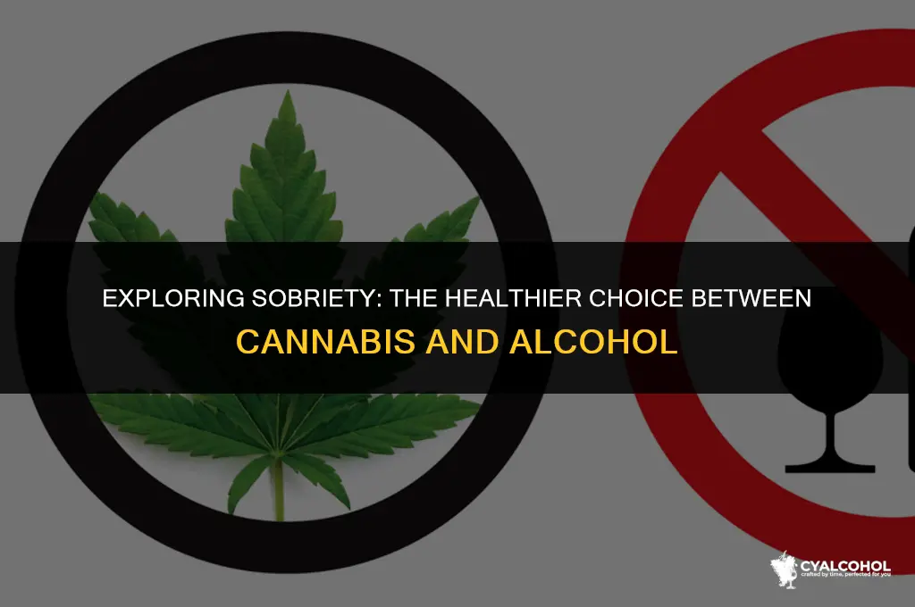 what is healthier pot or alcohol