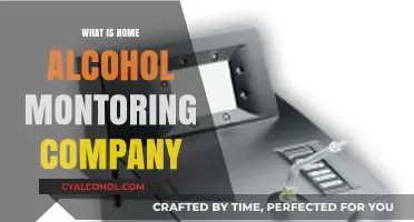 Understanding Home Alcohol Monitoring Companies: A Comprehensive Guide