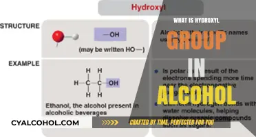 Understanding the Hydroxyl Group in Alcohols: A Key Functional Group