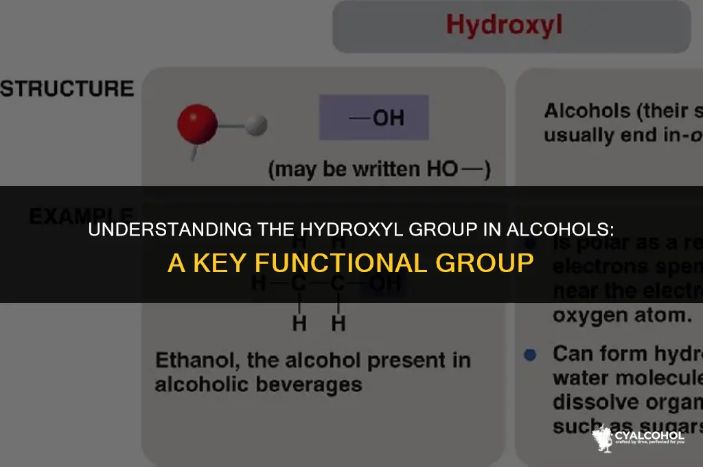 what is hydroxyl group in alcohol