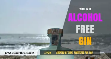 Exploring the Flavor Profile of Alcohol-Free Gin Alternatives