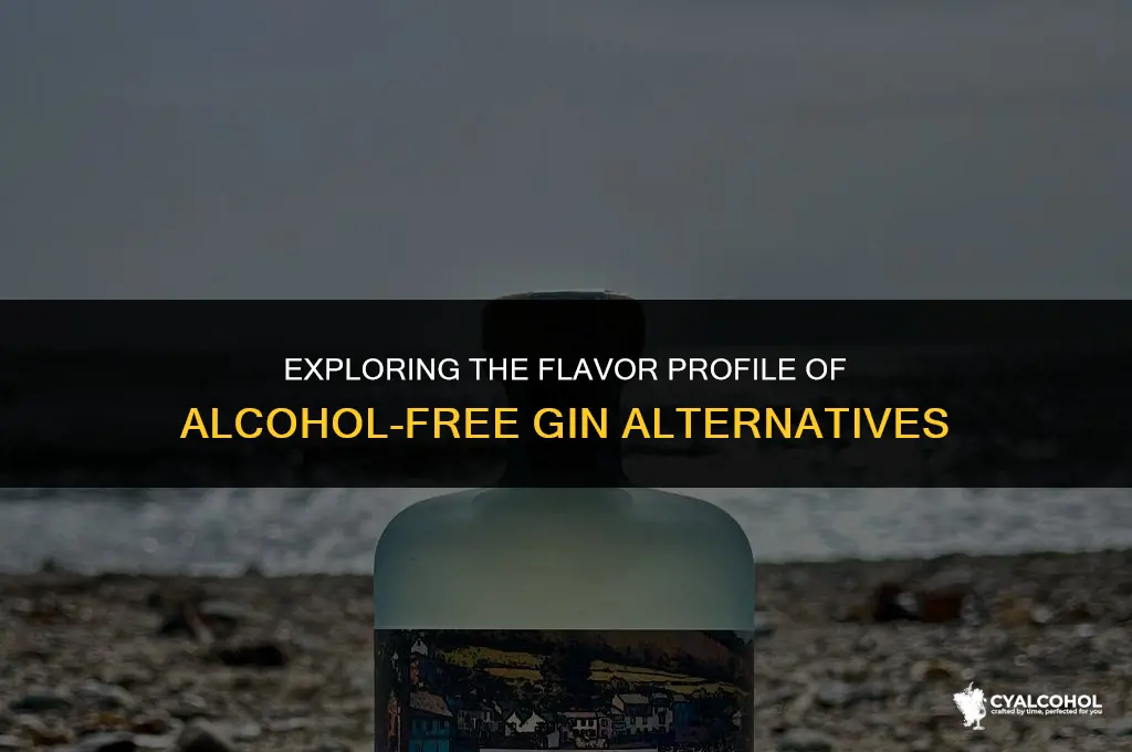 what is in alcohol free gin