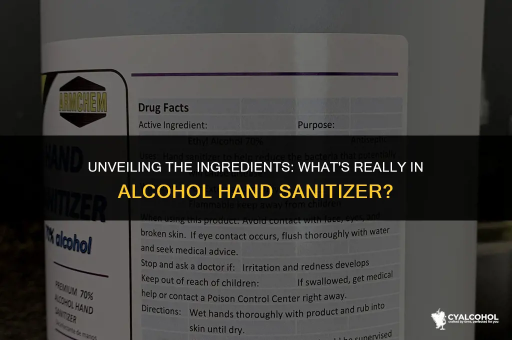 what is in alcohol hand sanitizer