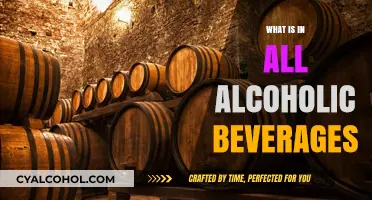 Unveiling the Common Ingredients Found in All Alcoholic Beverages