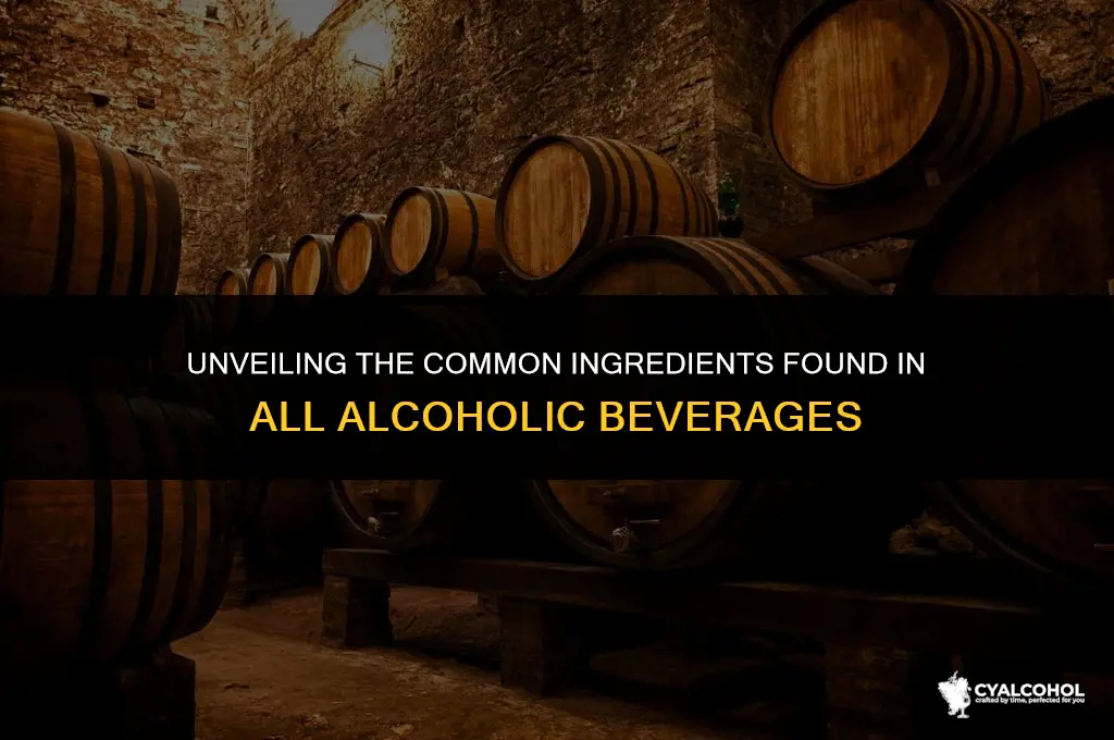 what is in all alcoholic beverages