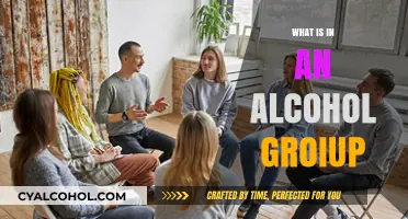 Exploring the Dynamics and Benefits of Alcohol Support Groups