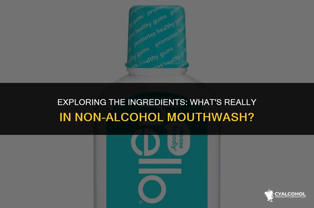 what is in non alcohol mouthwash