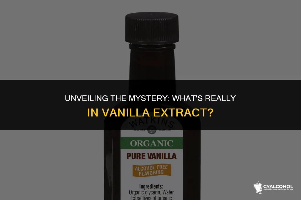 what is in vanilla extract alcohol