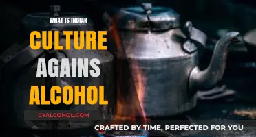 Exploring the Complex Relationship Between Indian Culture and Alcohol