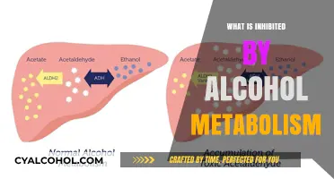 Unveiling the Effects: How Alcohol Metabolism Impacts Your Body
