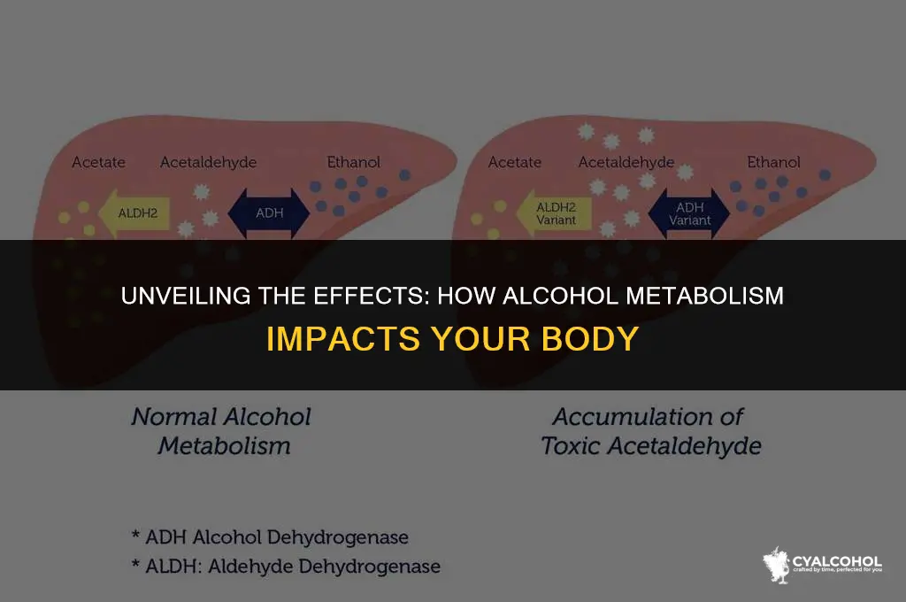 what is inhibited by alcohol metabolism