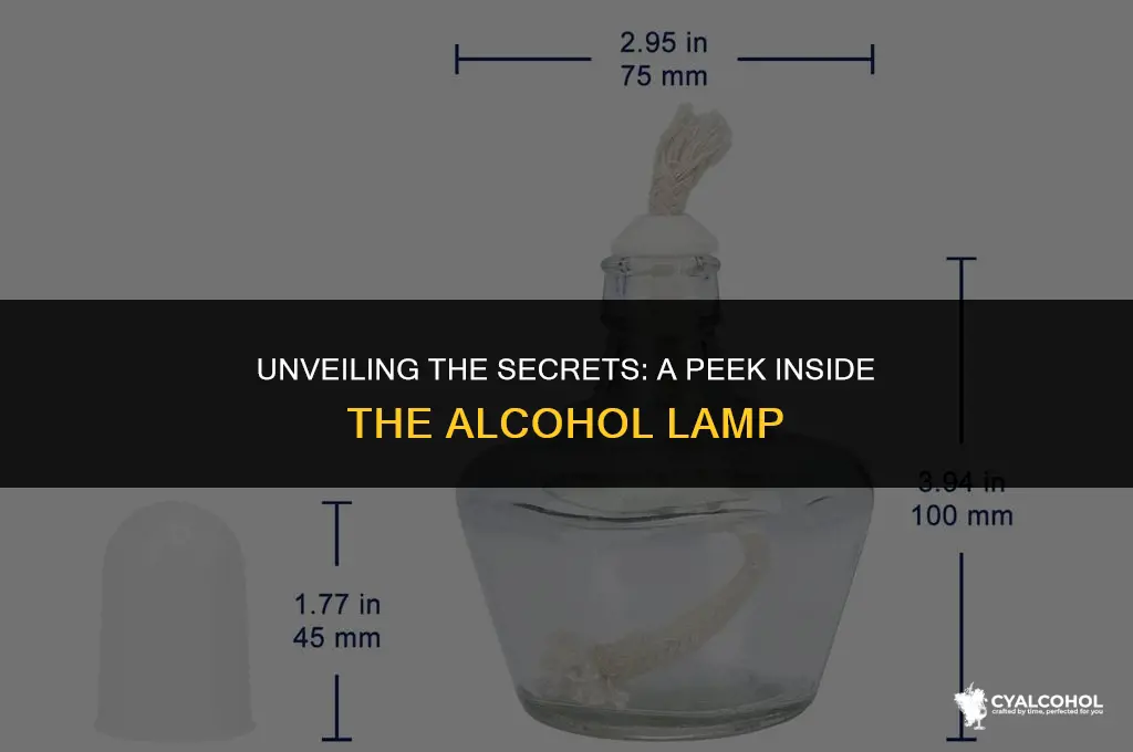 what is inside the alcohol lamp