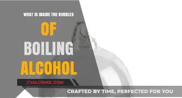 Unveiling the Secrets Inside Boiling Alcohol Bubbles: A Scientific Exploration