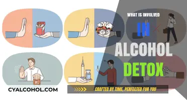 Navigating Alcohol Detox: A Comprehensive Guide to Recovery