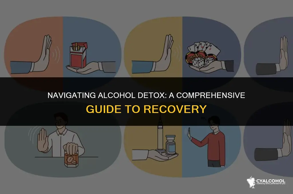 what is involved in alcohol detox