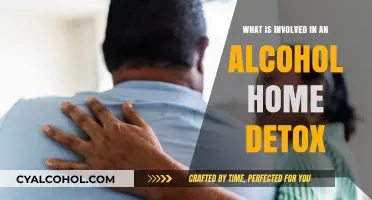Understanding Alcohol Home Detox: Process, Challenges, and Supportive Steps