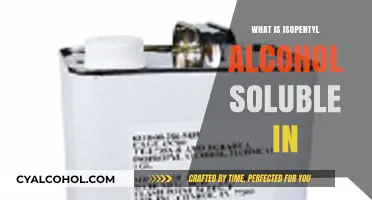 Exploring Solvents: Isopentyl Alcohol's Compatibility Guide
