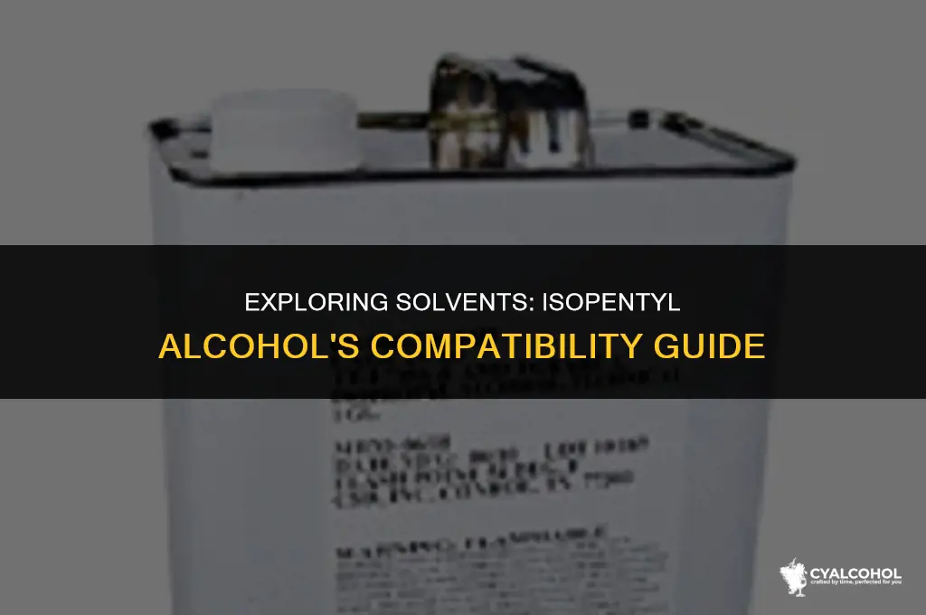 what is isopentyl alcohol soluble in