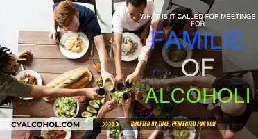 Battling Alcoholism: Support Meetings for Families