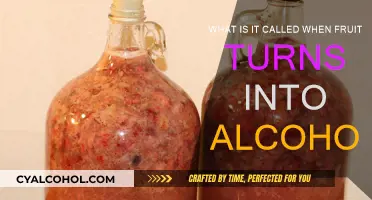 Fermentation: Nature's Magic of Turning Fruit into Alcohol