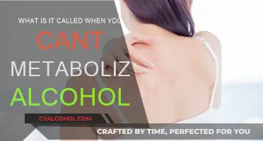 Alcohol Metabolism: Understanding Your Body's Response