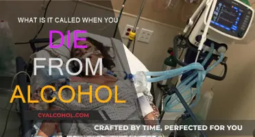 Alcohol-Induced Death: Understanding Alcohol Poisoning Fatalities