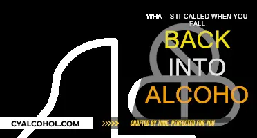 Relapsing: Falling Back into Alcohol's Trap