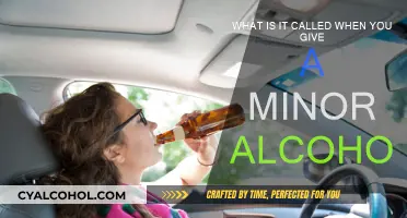 The Dangers of Providing Minors with Alcohol