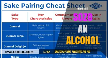 Understanding Sozo: A Comprehensive Guide to This Unique Alcohol