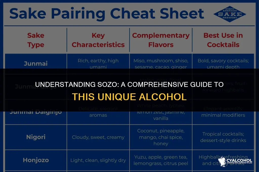 what is it sozo an alcohol