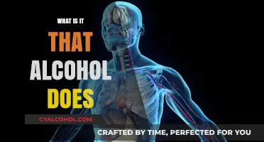 Unveiling the Effects: What Alcohol Really Does to Your Body and Mind