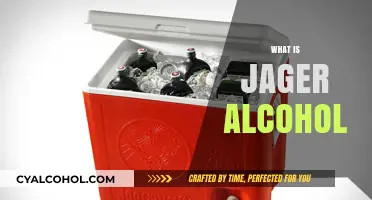 Exploring Jägermeister: Ingredients, Flavor, and Cultural Significance Explained