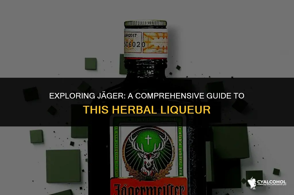 what is jager kind of alcohol