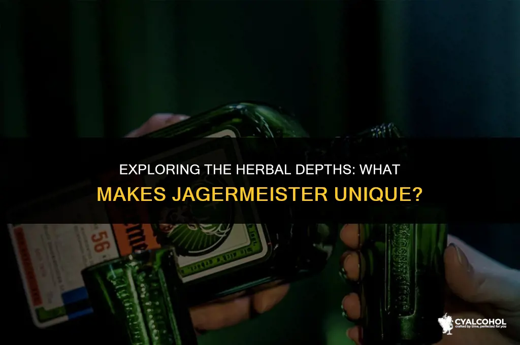 what is jagermeister kind of alcohol