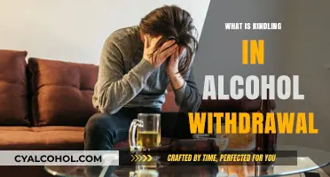 Understanding Kindling in Alcohol Withdrawal: A Comprehensive Guide