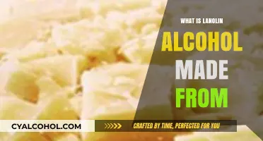 Unlocking the Secrets: What Is Lanolin Alcohol Made From?