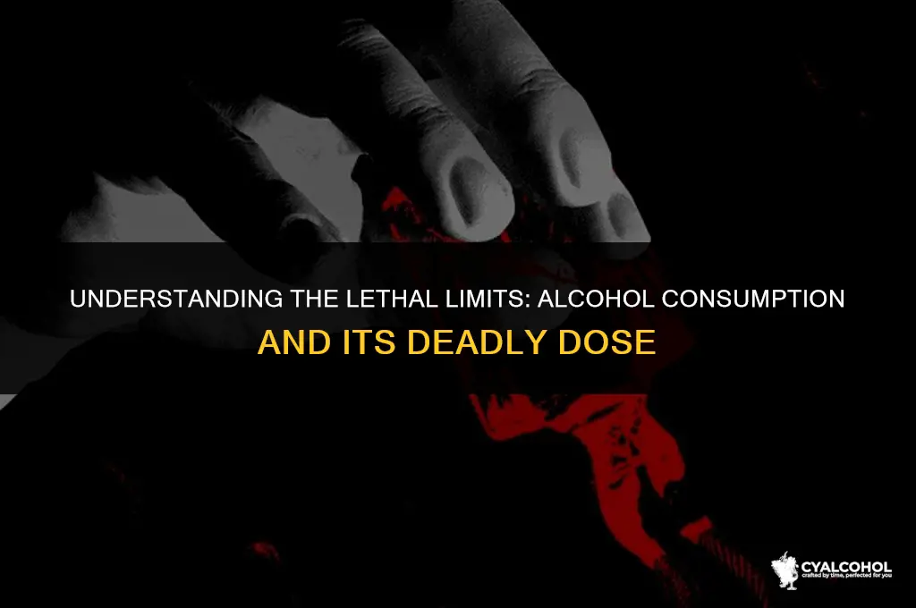 what is lethal dose of alcohol