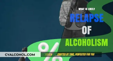 Understanding the Signs and Risks of Alcoholism Relapse