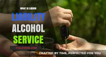 Understanding Liquor Liability: A Guide to Responsible Alcohol Service