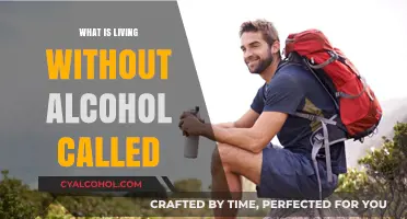 Embracing Sobriety: The Empowering Journey of Living Alcohol-Free