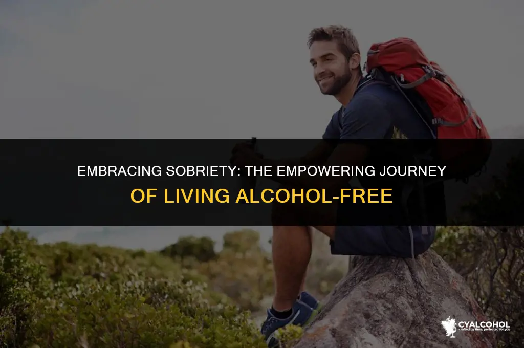 what is living without alcohol called