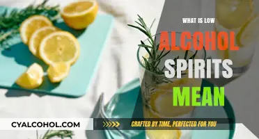 Exploring Low Alcohol Spirits: A Guide to Healthier Drinking Options