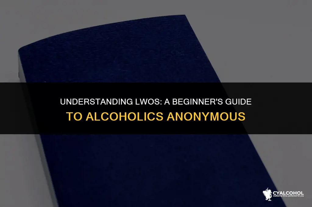 what is lwos in alcoholics anonymous
